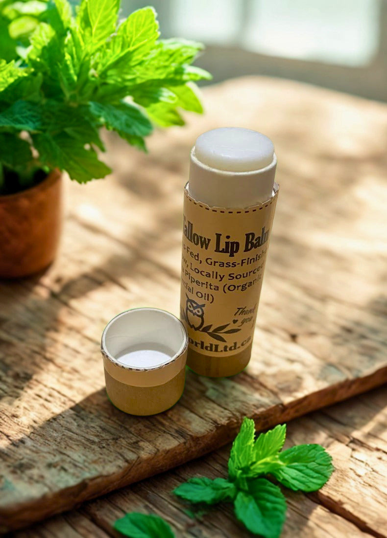 Peppermint Tallow Lip Balm